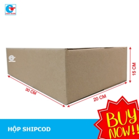 Hộp Carton 30x20x15