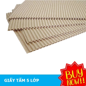 Giấy Tấm 2 Lớp