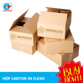 Hộp Carton In Flexo 3 Lớp 20x20x10