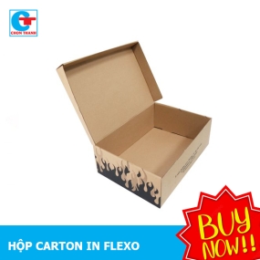 Sản Xuất Và In Flexo Hộp Carton 3 Lớp 20x10x5