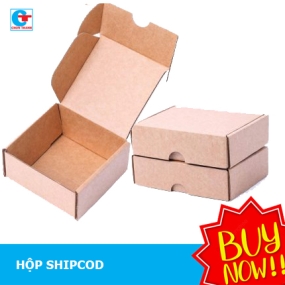 Hộp carton có nắp gài