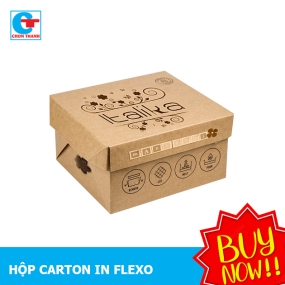 Hộp Carton In Flexo Nắp Đậy 40x20x10